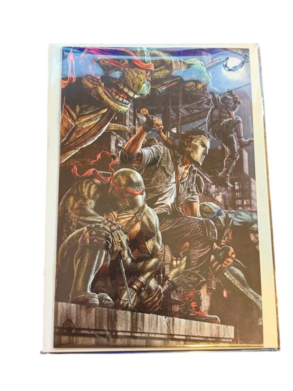 Teenage Mutant Ninja Turtles #5 Lee Bermejo Virgin Variant IDW 2024